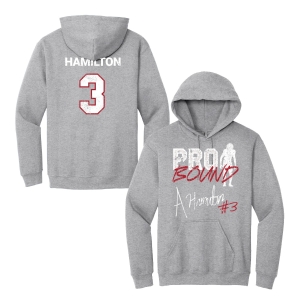 Alzillion Hamilton | Pro Bound Grey Hoodie