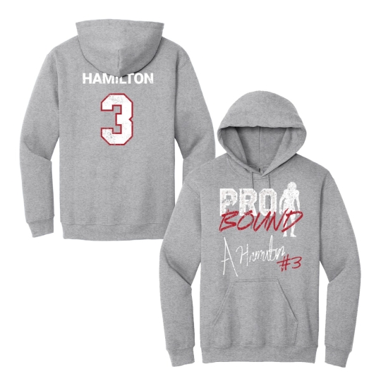 Alzillion Hamilton | Pro Bound Grey Hoodie